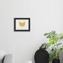 Callidryas Agarithe - #collection_name#
