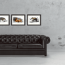 Elephant des Indes Framed Giclee Fine Art Print - #collection_name#