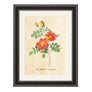 Rosier Eglantier - P.J Redoute (1824) - #collection_name#